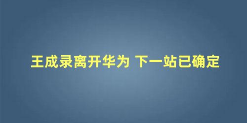 王成录离开华为 下一站已确定